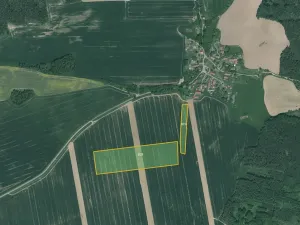 Prodej pole, Poběžovice, 16292 m2