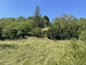 Prodej zahrady, Nová Ves, 2559 m2