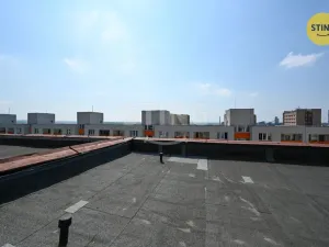 Prodej bytu 1+kk, Ostrava, Zelená, 52 m2