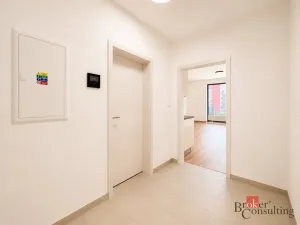 Pronájem bytu 1+kk, Plzeň - Jižní Předměstí, Železná, 37 m2