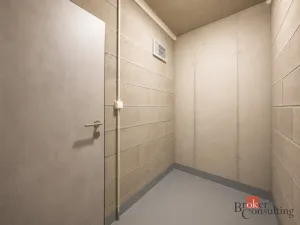 Pronájem bytu 1+kk, Plzeň - Jižní Předměstí, Železná, 37 m2