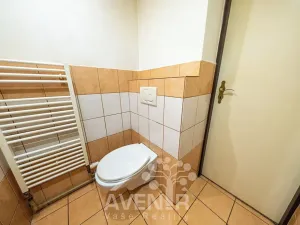 Prodej vícegeneračního domu, Liberec, Hradební, 145 m2
