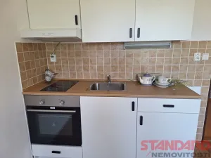 Pronájem bytu 1+kk, Dobřany, 17. listopadu, 19 m2