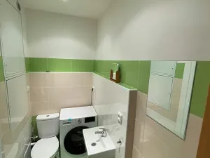 Pronájem bytu 1+kk, Dobřany, 17. listopadu, 19 m2