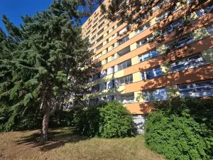 Pronájem bytu 1+1, Brno, Halasovo náměstí, 33 m2