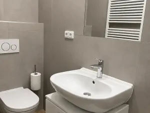 Pronájem bytu 1+kk, Praha, Myslíkova, 36 m2