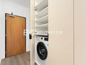 Pronájem bytu 1+kk, Brno, Dornych, 27 m2