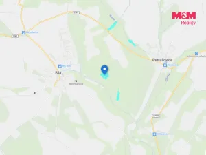 Prodej lesa, Bílá, 57919 m2