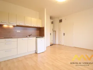 Pronájem bytu 1+kk, Hradec Králové, Dlouhá, 28 m2