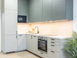 Prodej bytu 2+kk, Praha - Vinohrady, Perunova, 40 m2