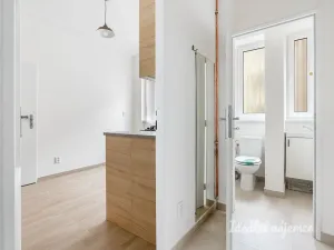 Pronájem bytu 1+1, Praha - Libeň, U libeňského pivovaru, 35 m2