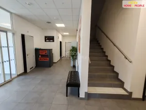 Pronájem skladu, Ostrov - Dolní Žďár, 4400 m2