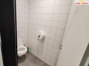 Pronájem skladu, Ostrov - Dolní Žďár, 4400 m2