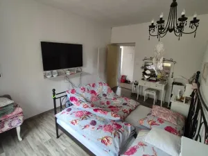 Prodej rodinného domu, Domažlice, Husova třída, 292 m2