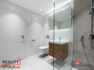 Pronájem bytu 1+kk, Brno - Zábrdovice, Cejl, 48 m2