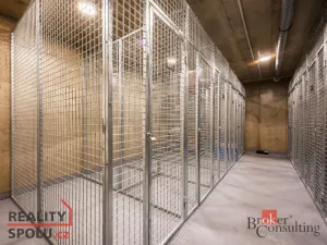 Pronájem bytu 1+kk, Brno - Zábrdovice, Cejl, 48 m2