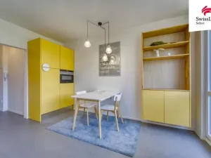 Prodej bytu 1+1, Plzeň, Heyrovského, 41 m2