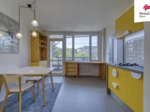 Prodej bytu 1+1, Plzeň, Heyrovského, 41 m2