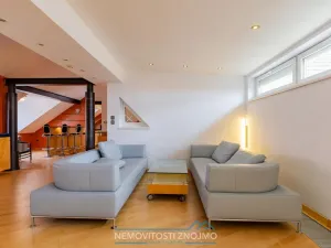 Prodej atypického bytu, Znojmo, Alšova, 310 m2