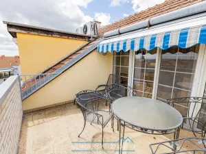Prodej atypického bytu, Znojmo, Alšova, 310 m2