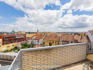 Prodej atypického bytu, Znojmo, Alšova, 310 m2