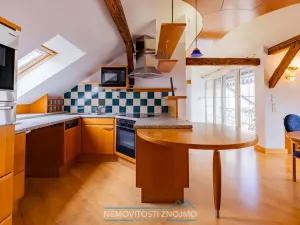 Prodej atypického bytu, Znojmo, Alšova, 310 m2