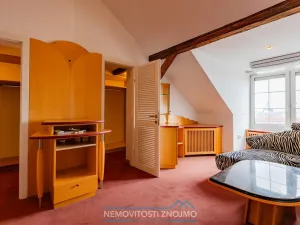 Prodej atypického bytu, Znojmo, Alšova, 310 m2