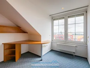 Prodej atypického bytu, Znojmo, Alšova, 310 m2
