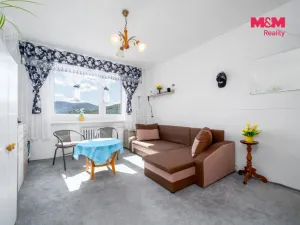 Prodej bytu 2+1, Ústí nad Labem - Neštěmice, Seifertova, 61 m2