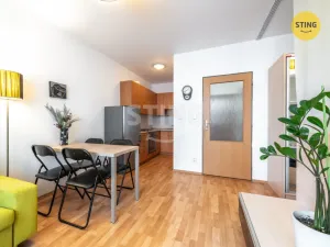 Prodej bytu 1+kk, Brno, Francouzská, 30 m2