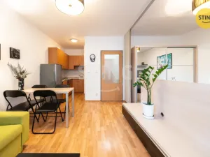 Prodej bytu 1+kk, Brno, Francouzská, 30 m2