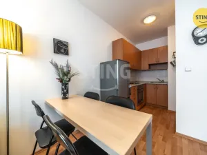 Prodej bytu 1+kk, Brno, Francouzská, 30 m2