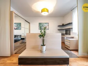 Prodej bytu 1+kk, Brno, Francouzská, 30 m2