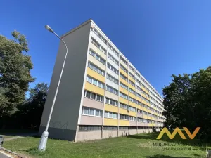 Pronájem bytu 3+1, Hradec Králové - Slezské Předměstí, Polní, 60 m2