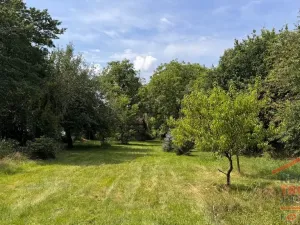 Prodej pozemku pro bydlení, Hořice - Březovice, 3538 m2