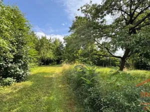 Prodej pozemku pro bydlení, Hořice - Březovice, 3538 m2