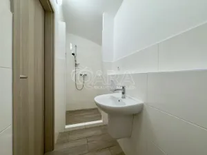 Pronájem obchodního prostoru, Ústí nad Labem - Krásné Březno, Podmokelská, 75 m2