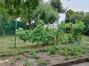 Prodej zahrady, Kladno, U Trati, 180 m2