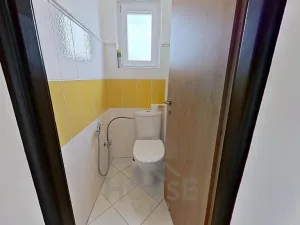 Prodej rodinného domu, Benešov, Pavlíkova, 280 m2