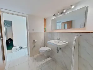 Prodej rodinného domu, Benešov, Pavlíkova, 280 m2