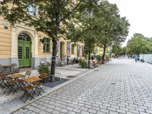 Prodej bytu 2+kk, Praha - Vinohrady, Lucemburská, 51 m2
