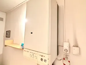 Prodej rodinného domu, Planá, Na Příkopech, 180 m2