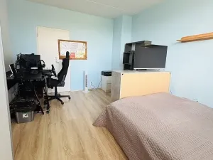 Prodej bytu 2+1, Chropyně, J. Fučíka, 57 m2