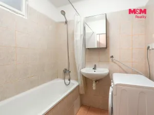 Pronájem bytu 1+1, Bechyně, Na Libuši, 46 m2