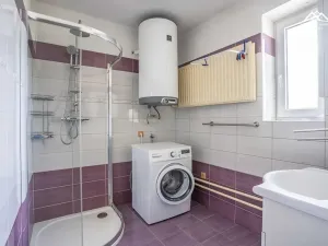 Prodej rodinného domu, Dolní Sokolovec, 269 m2