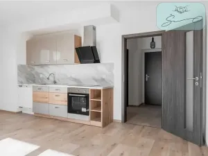 Prodej bytu 1+kk, Heřmanova Huť, U Pondu, 35 m2