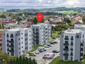 Prodej bytu 1+kk, Heřmanova Huť, U Pondu, 35 m2