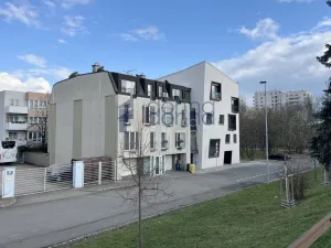 Pronájem bytu 1+kk, Praha, Na Viktorce, 39 m2