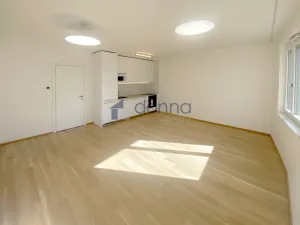 Pronájem bytu 1+kk, Praha, Na Viktorce, 39 m2