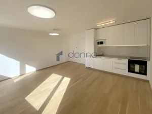 Pronájem bytu 1+kk, Praha, Na Viktorce, 39 m2